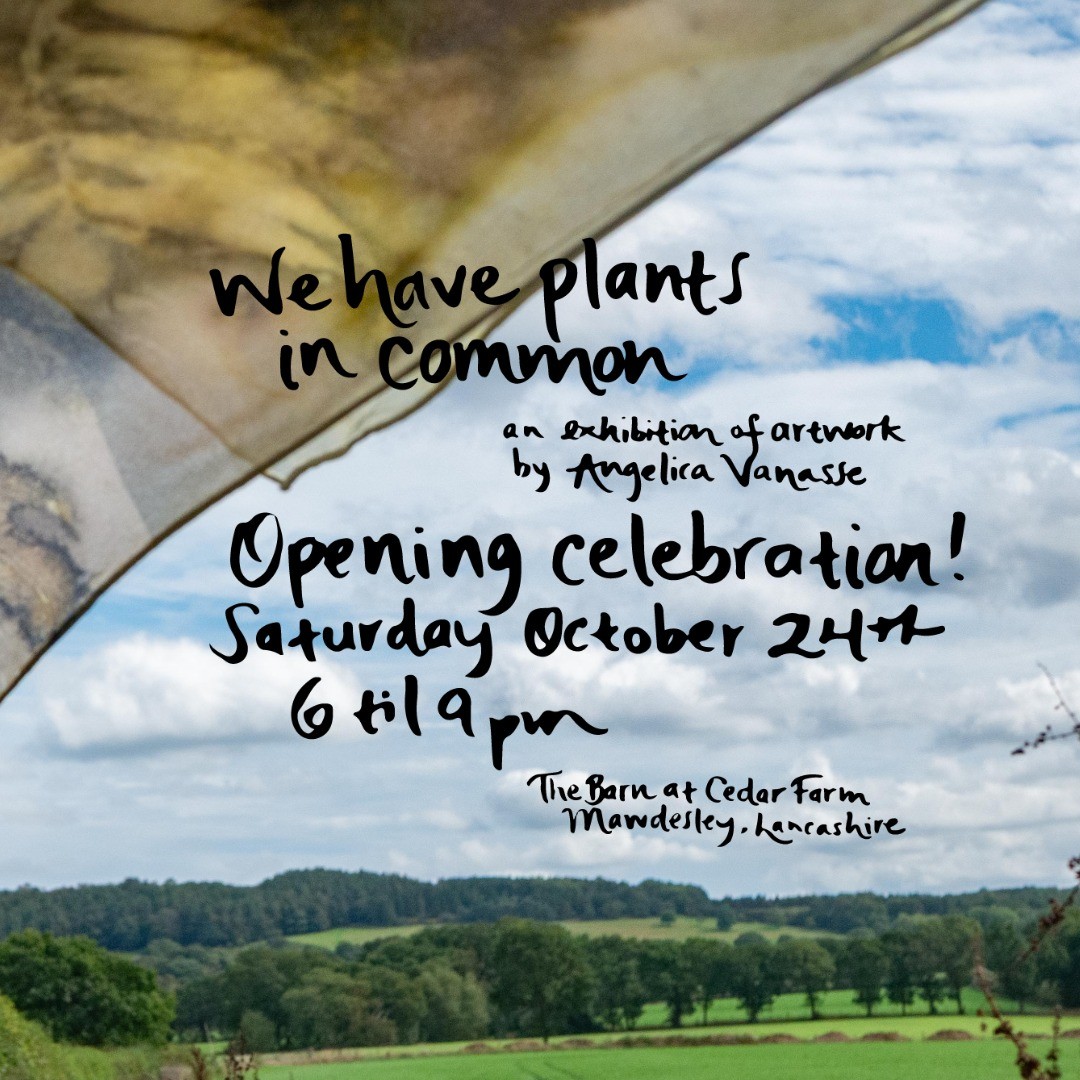 We have plants in common poster, textiles blowing in the wind with the countryside in the background